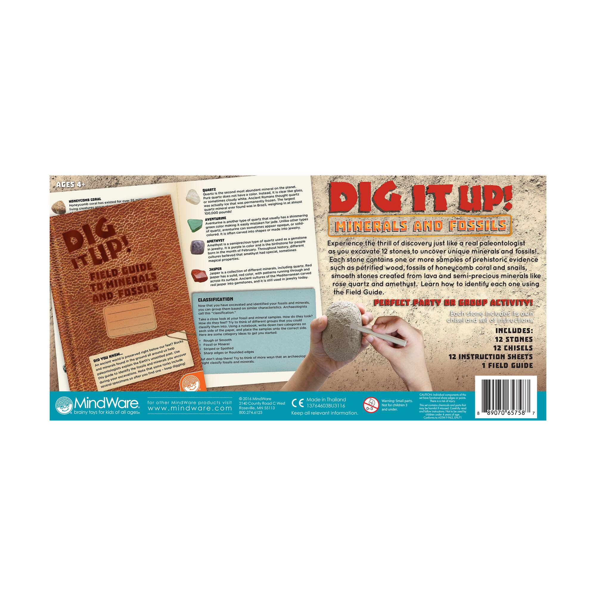 Dig It Up! - Minerals and Fossils